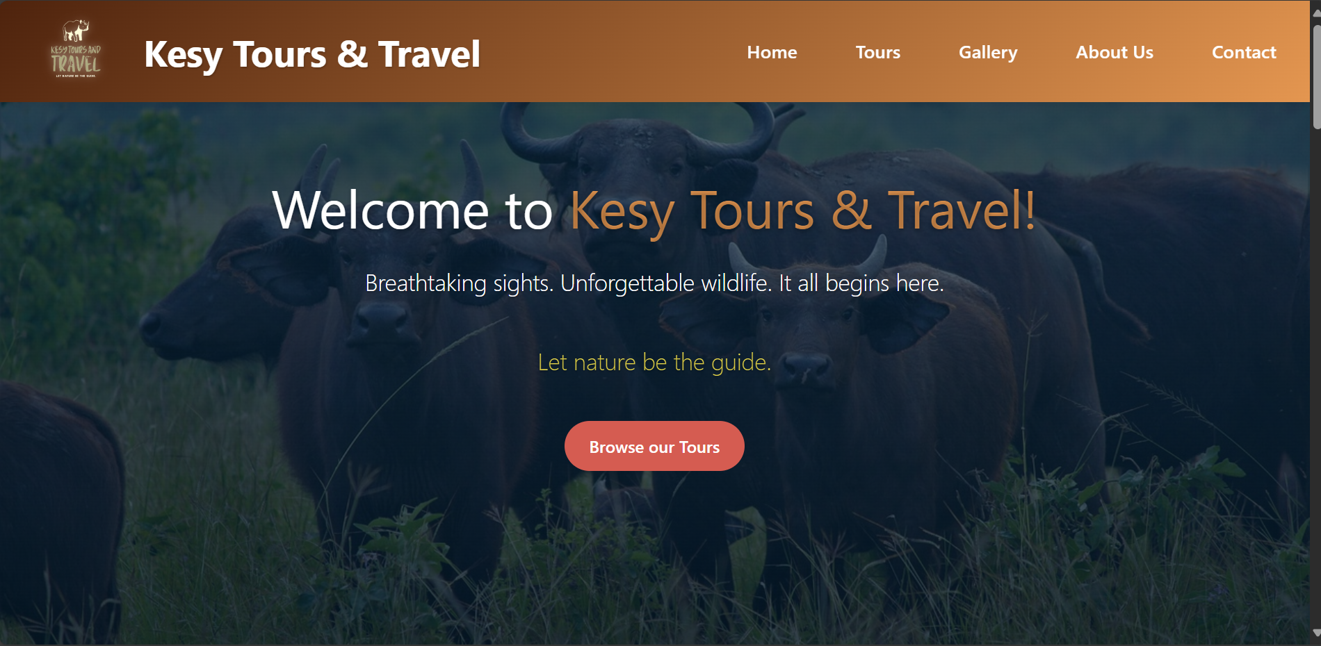 Kesy Tours & Travel